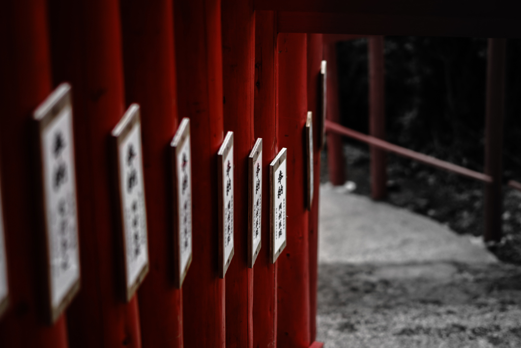 奉纳 by 沈黙の花言叶 (ID:5856688) - 写真共有