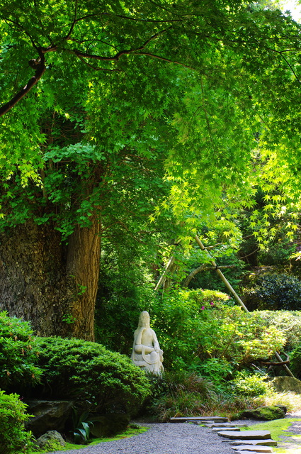 一礼し そっと通るや 初夏の道の画像(写真) 一礼し そっと通るや 初夏の道の画像(写真)