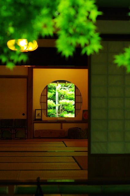 向こうには 此方と違う 光ありの画像(写真) 向こうには 此方と違う 光ありの画像(写真)