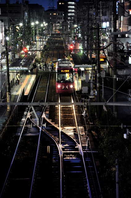 大好きな荒川線の画像(写真) 大好きな荒川線の画像(写真)