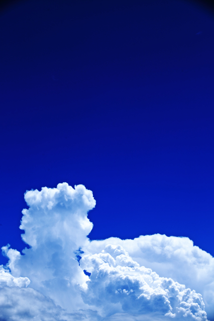 CLEAR!の画像(写真) CLEAR!の画像(写真)