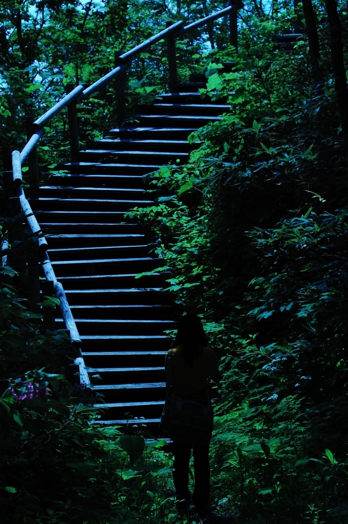 Stairway to Heavenの写真(画像) 写真ID:57812