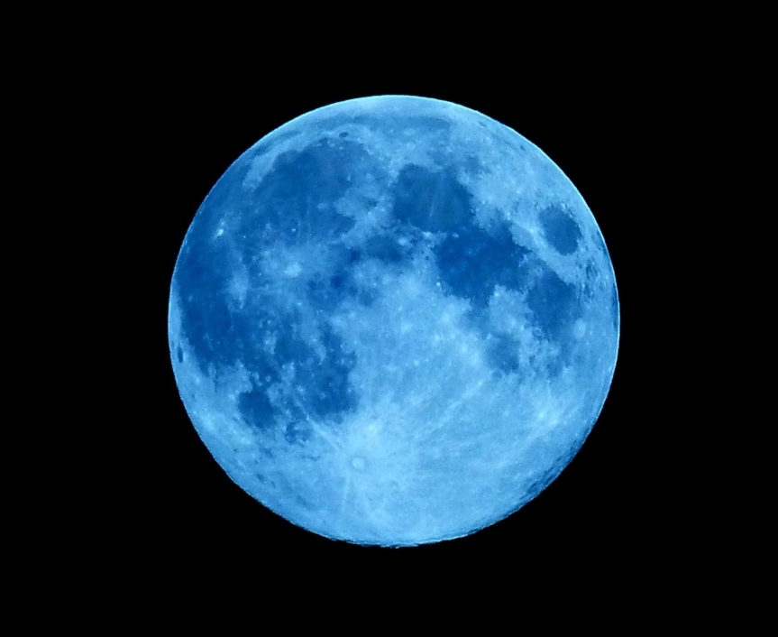 ブルームーン by たま407 (ID:2051251) 写真共有サイトPHOTOHITO