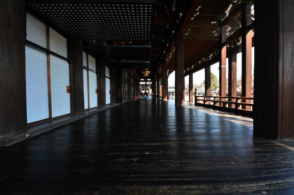 西本愿寺御影堂1の写真(画像) 写真ID:5365089