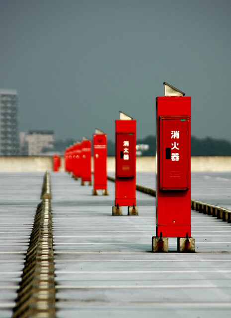 整列の画像(写真) 整列の画像(写真)
