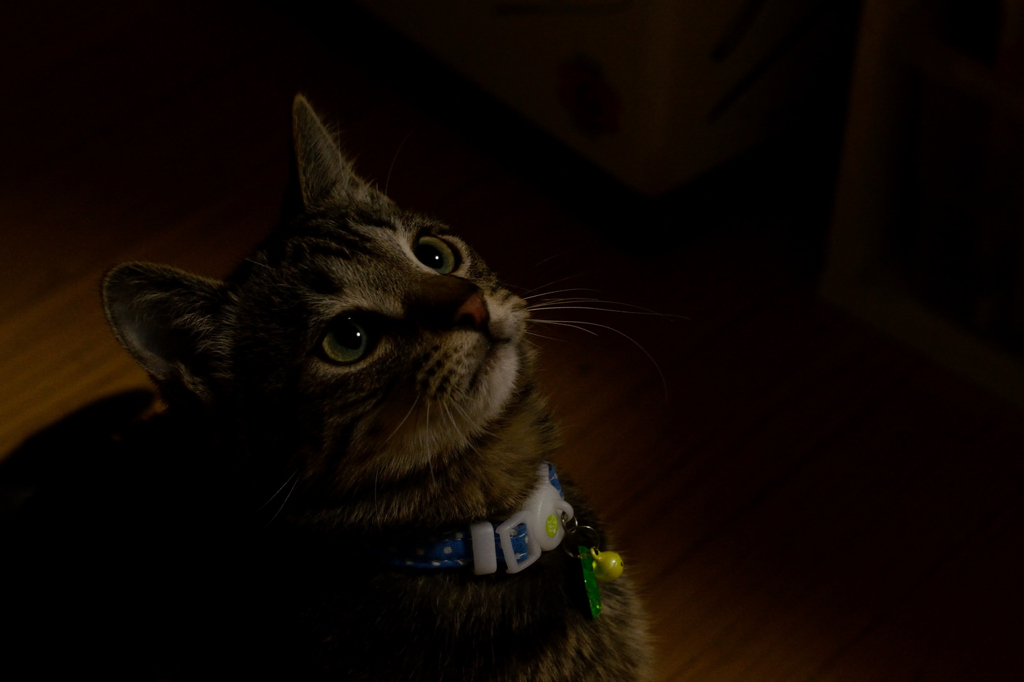 Spotlight Spotlight