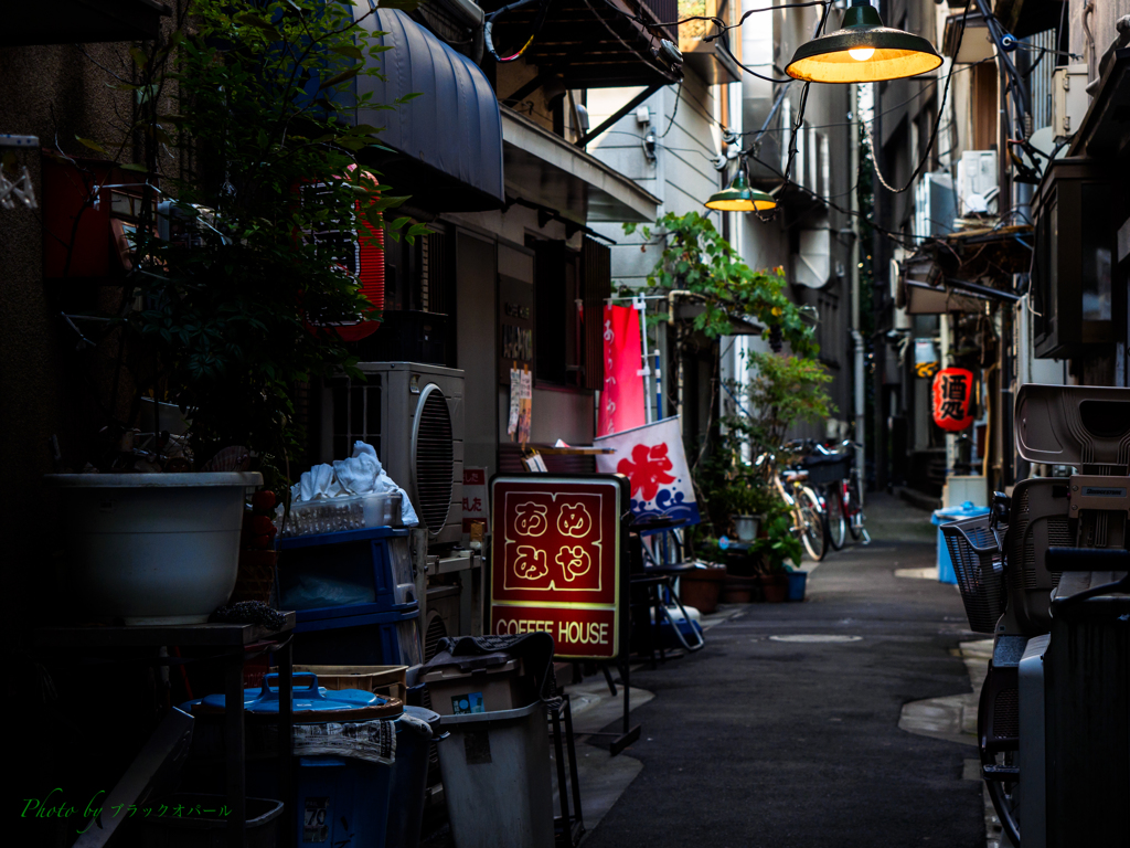 東京下町風景..#2 by ブラックオパール (ID:4712757) 写真共有サイトPHOTOHITO