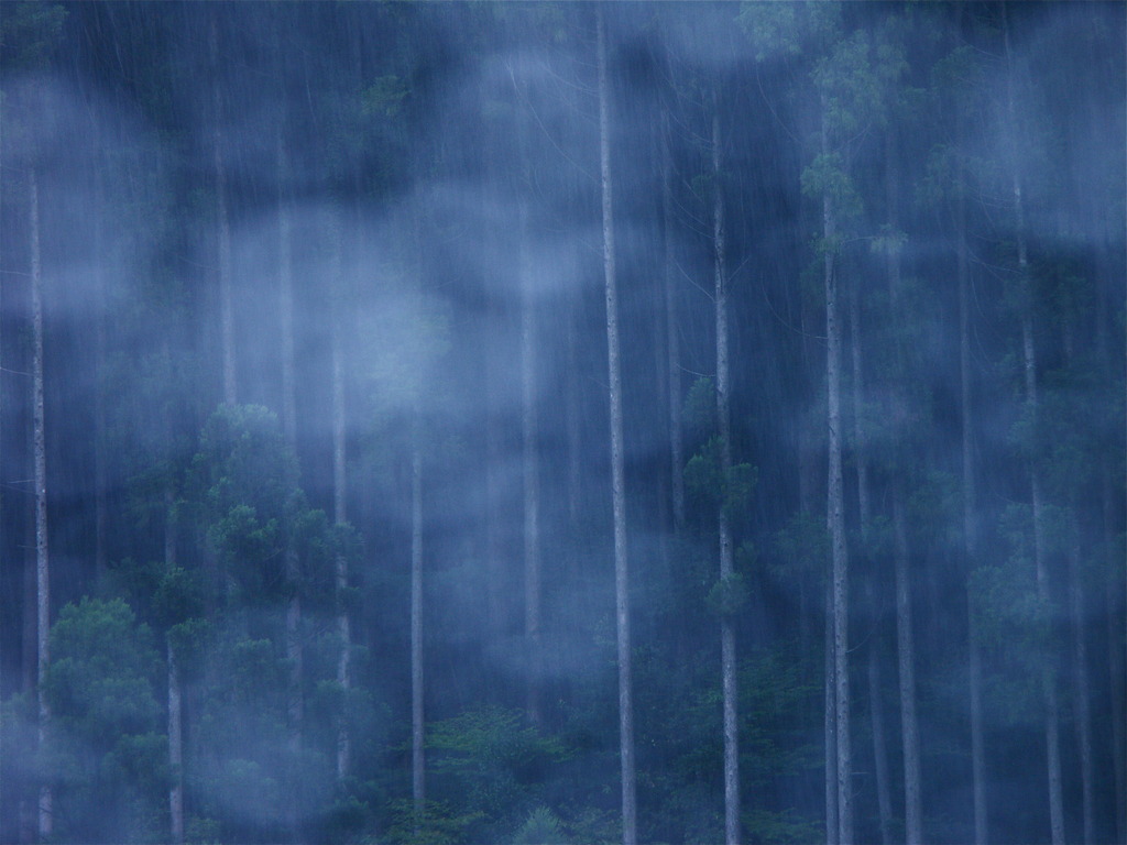 夏の雨の写真(画像) 写真ID248813 写真共有サイト 雨 潤いと癒し & 画像コレクション NAVER まとめ 夏の雨の写真(画像) 写真ID248813 写真共有サイト 雨 潤いと癒し & 画像コレクション NAVER まとめ