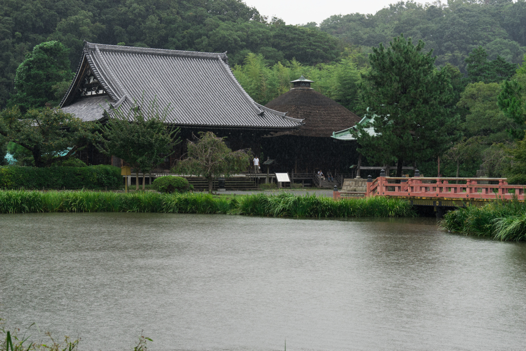彼岸花の季節 称名寺
