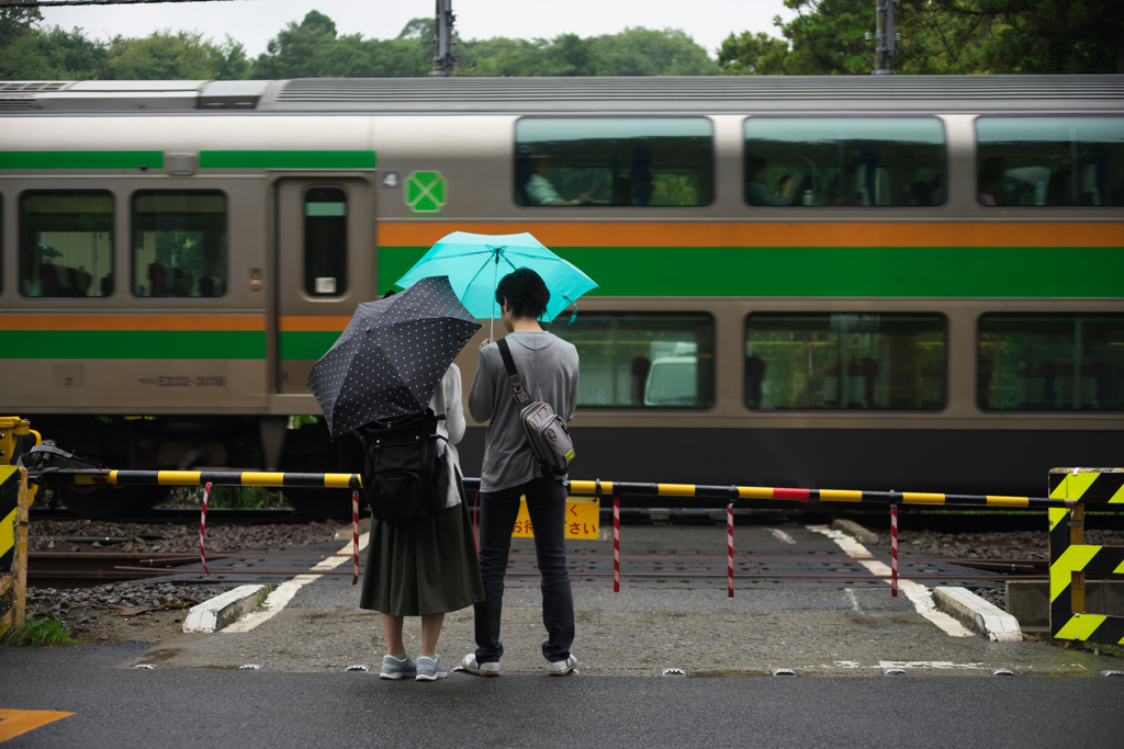 雨の円覚寺