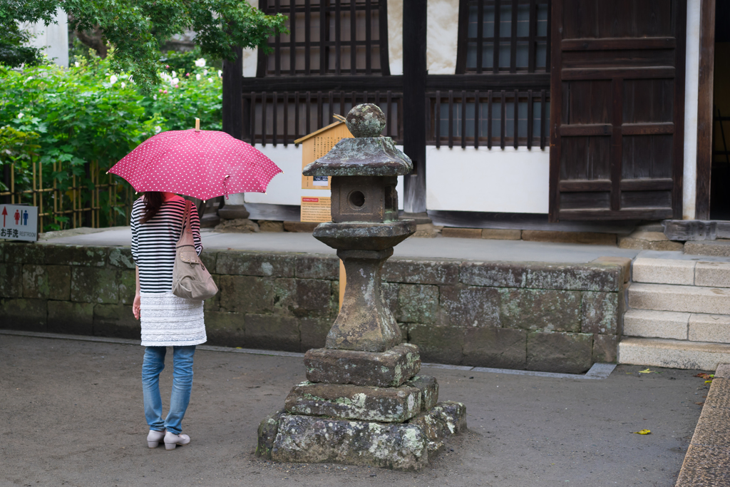 雨の円覚寺