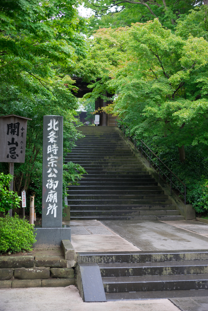 雨の円覚寺