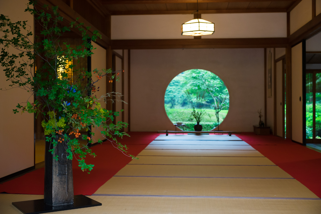 雨の明月院