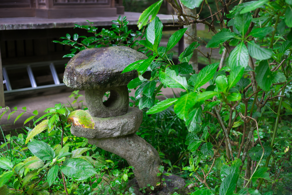 雨の円覚寺