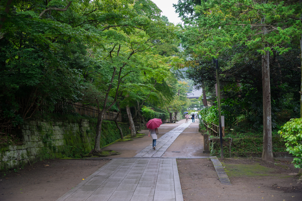 雨の円覚寺
