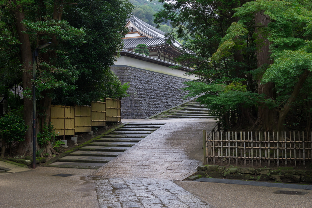 雨の円覚寺