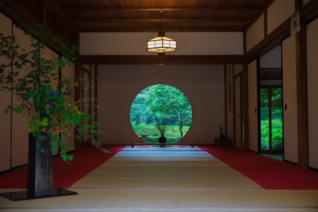 雨の明月院