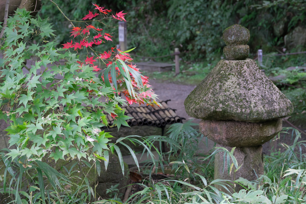 三渓園