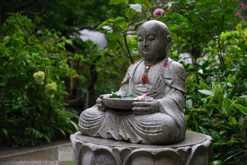 雨の明月院