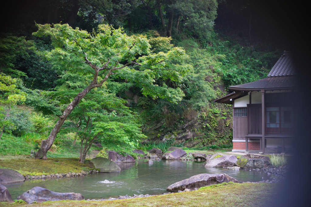 雨の円覚寺