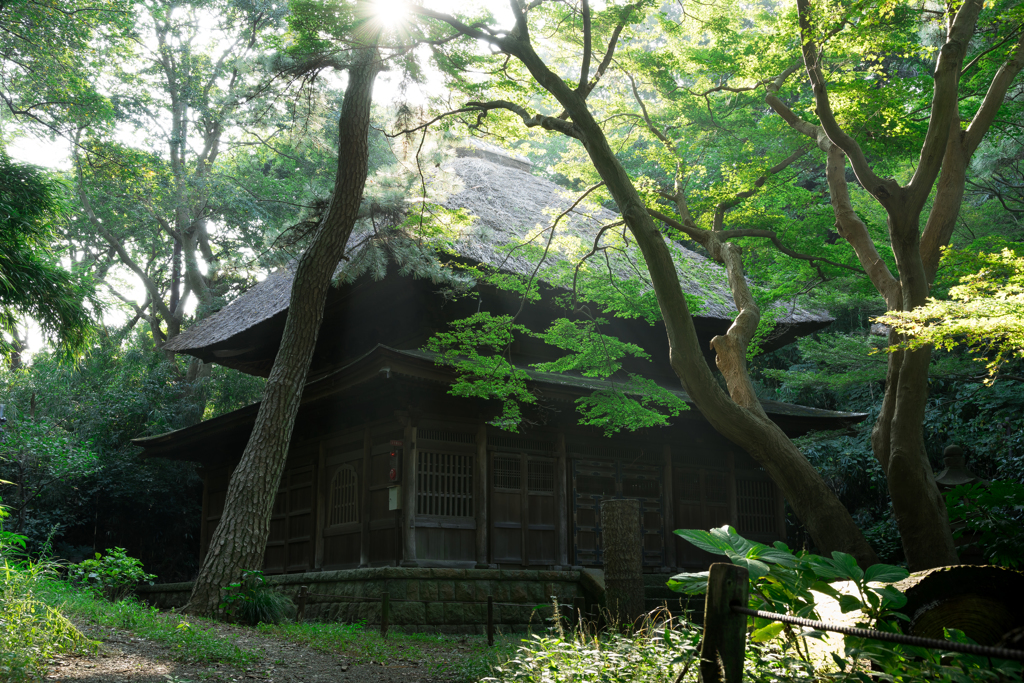三渓園