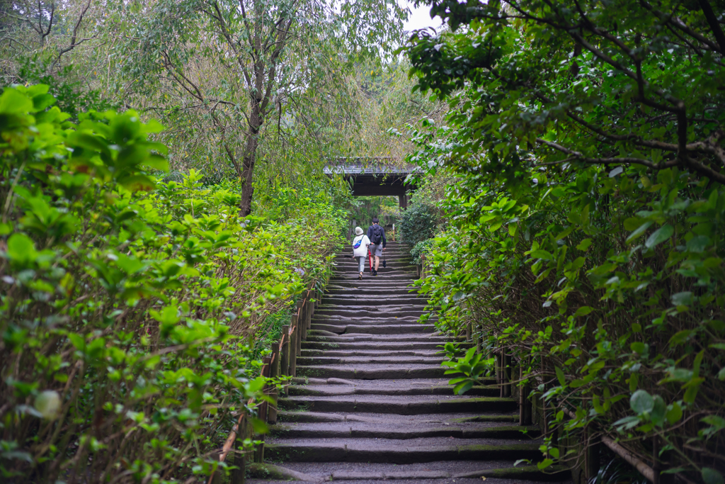 雨の円覚寺
