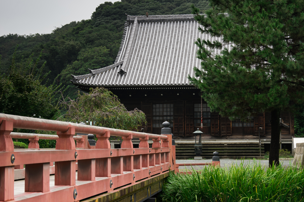 彼岸花の季節 称名寺