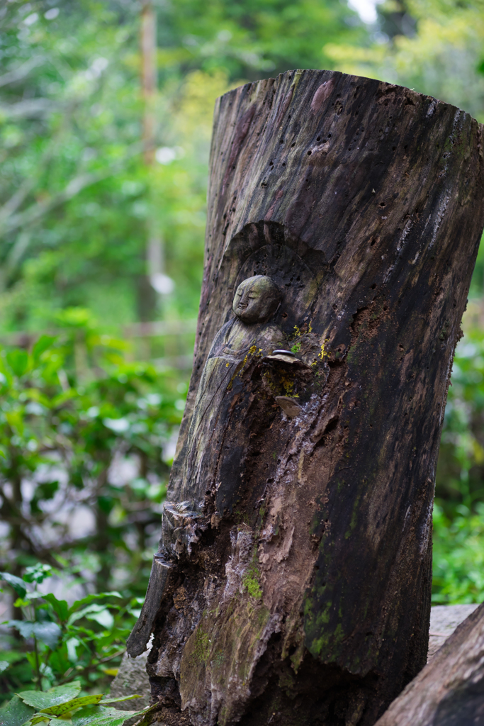 雨の円覚寺