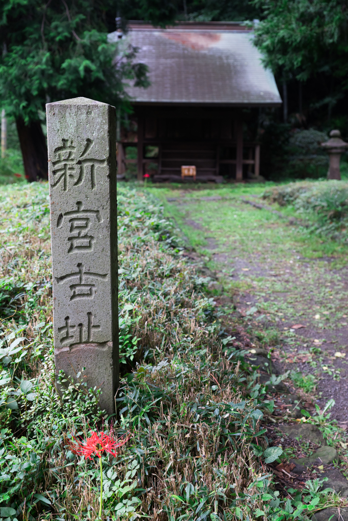 彼岸花の季節 称名寺